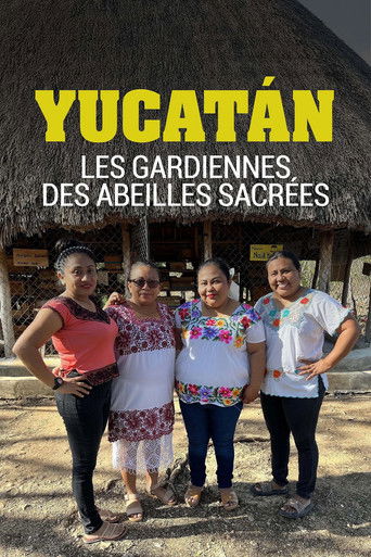 Yucatan, les gardiennes des abeilles sacrées