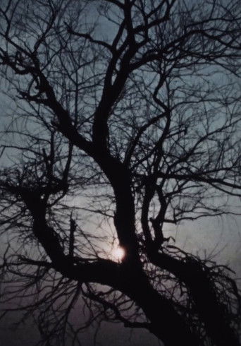 Street Film Part VII