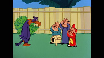 Episode 8 — Stanley the Eagle