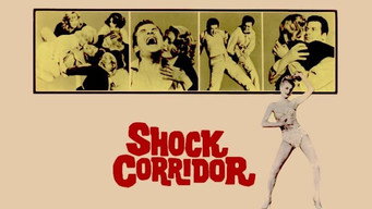 #18 Shock Corridor