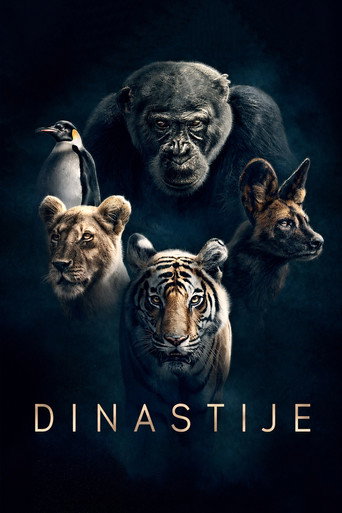 Dinastije