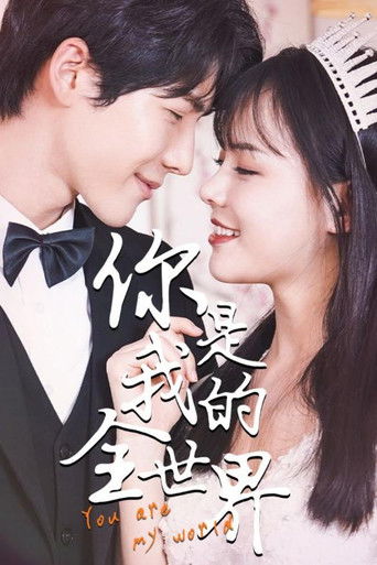 你是我的全世界 poster