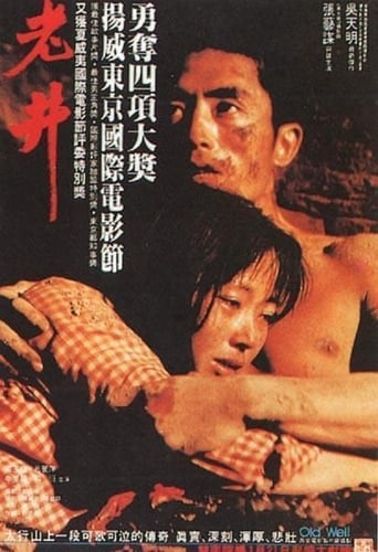 Poster of 老井