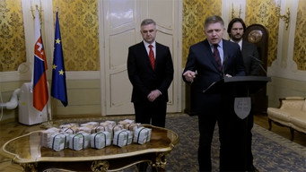 The State Capture (2019)