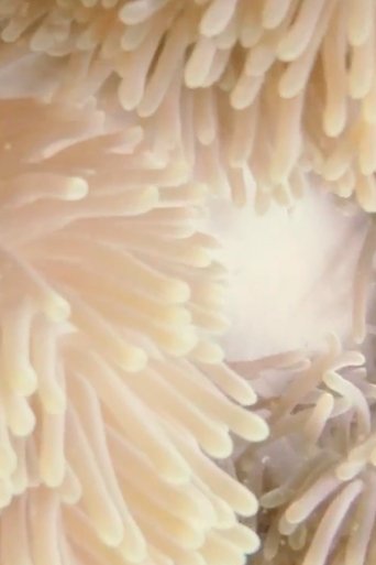 the unraveling of time poster