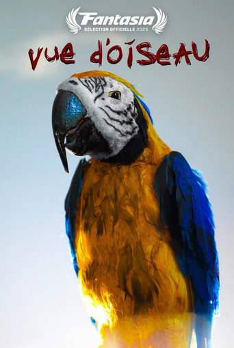 Bird's Eye View (2025)