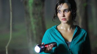 Hit and Run (2009)