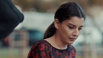 Episode 8 — Episode 8