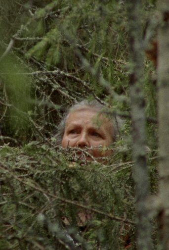 In the Midst of Chaos There Was Shape