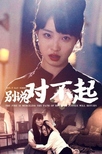 别说对不起 poster