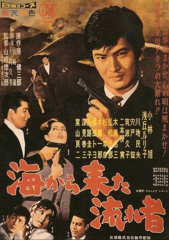 Poster of 海から来た流れ者