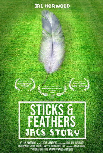 Sticks and Feathers poster
