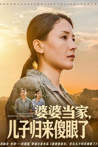 婆婆当家，儿子归来傻眼了 poster