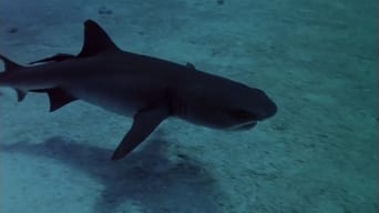 Sharks' Treasure (1975)