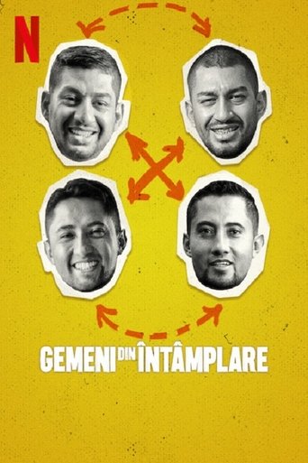 Hermanos por accidente