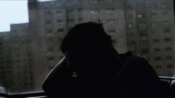 #36 Баффало '66