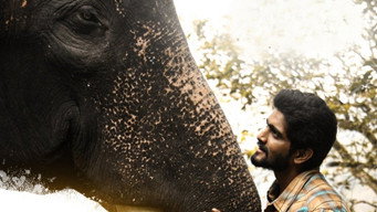 #4 Kumki 2