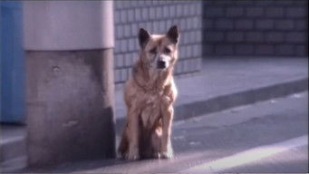 Episode 11 — Evil Eye