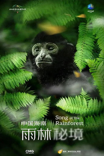 中国海南·雨林秘境 poster