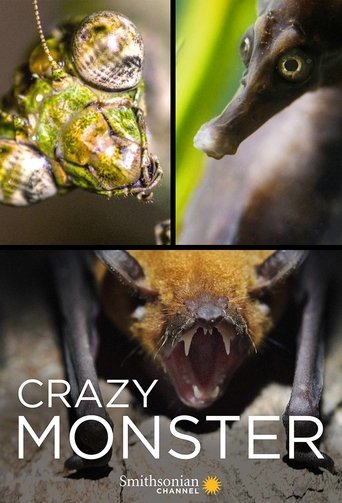 Crazy Monster: Season 1