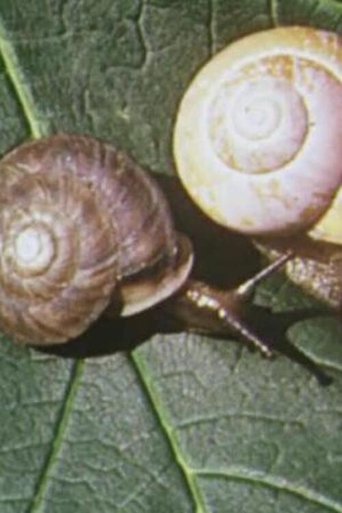 On Closer Inspection (1953) On Closer Inspection (1953)