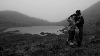 Chuquiragua (2016)