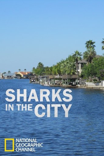 Sharks in the City: Bull Sharks in the Backyard (2011)