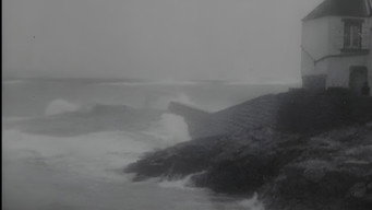 #5 The Sea of Ravens