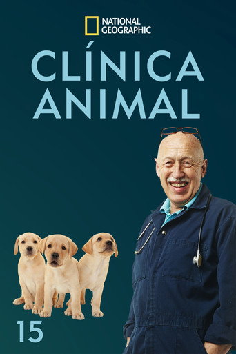 Temporada 15