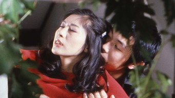 Beautiful Sisters: Seduced (1982)