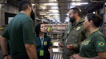 Cena de De Revirar o Estômago