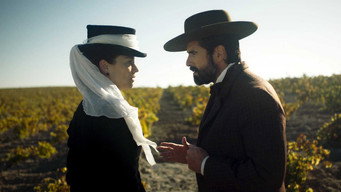 #2 The Vineyard