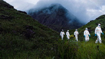 #5 Virus Hunters
