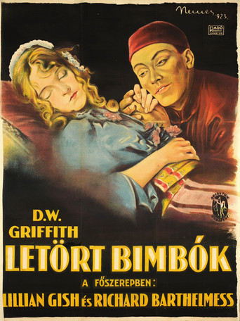 Letört bimbók