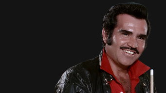 El embustero (1985)