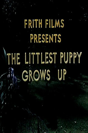 The Littlest Puppy Grows Up (1954)