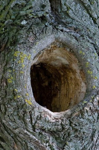 Huecos de vida poster