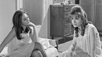 The Ladykiller (1969)