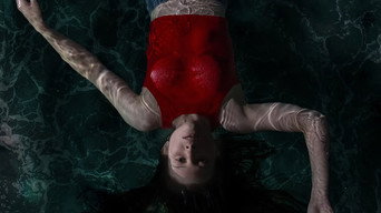 Wreckage (2026)