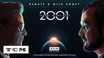 2001: Sparks in the Dark (2018)