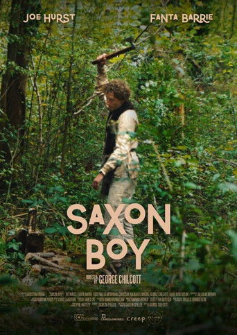 Saxon Boy poster