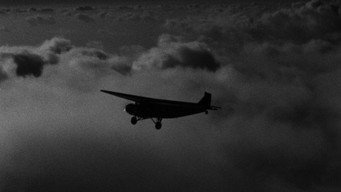 #37 Тільки у ангелів є крила