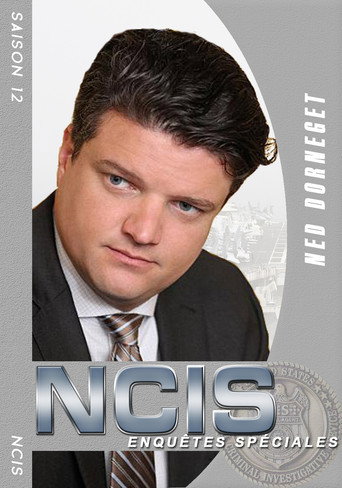 NCIS : Enquêtes Spéciales - S12 - Poster