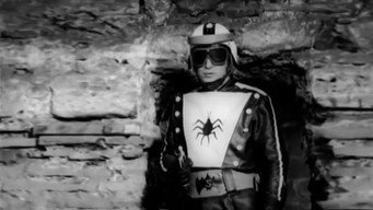 Spider media image