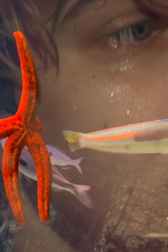 Four for See Beauties poster