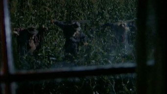 #14 Goosebumps