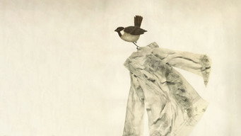 Migrating Sparrows (1980)