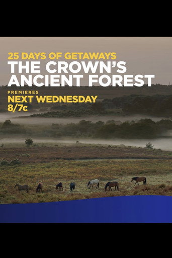 The Crown's Ancient Forest poster