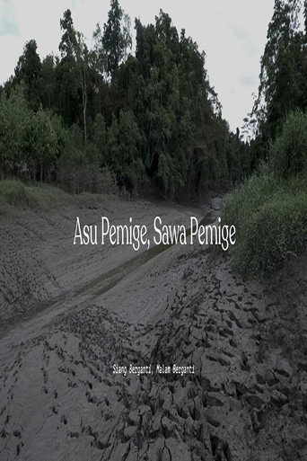 Asu Pemige Sawa Pemige (2024)