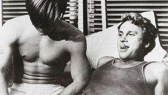 Плоть (1968)